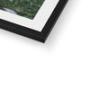 Hangzhou Gardens 2 Framed & Mounted Print