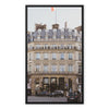 Hotel du Louvre Framed Canvas