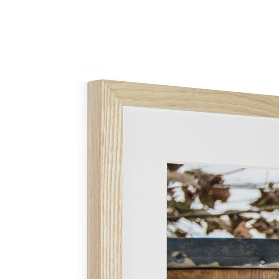 Tennessee Whiskey Framed & Mounted Print