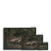 Garden Bridge Framed Canvas