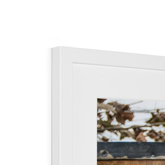 Tennessee Whiskey Framed & Mounted Print