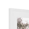 Hangzhou Gardens 3 Framed & Mounted Print