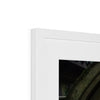 Peek into the Garden Framed & Mounted Print