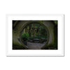 Peek into the Garden Framed & Mounted Print