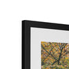 Hangzhou Gardens 2 Framed & Mounted Print