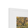 Hangzhou Gardens 2 Framed & Mounted Print