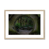 Peek into the Garden Framed & Mounted Print