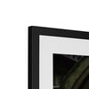 Peek into the Garden Framed & Mounted Print