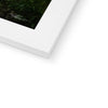 Peek into the Garden Framed & Mounted Print