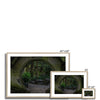 Peek into the Garden Framed & Mounted Print