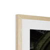 Peek into the Garden Framed & Mounted Print