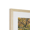 Hangzhou Gardens 2 Framed & Mounted Print