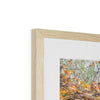 Hangzhou Gardens 1 Framed & Mounted Print