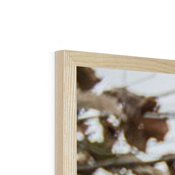 Tennessee Whiskey Framed Print